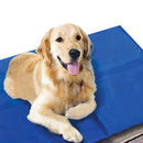 XXX-LARGE 81CM X 96CM PET GEL BED