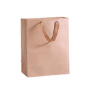 50x Brown Paper Bag Kraft Eco Recyclable Gift Carry Shopping Retail Bags Handles