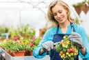 GARDENING GLOVES AND SECATEURS SET