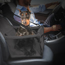 PET CARRIER