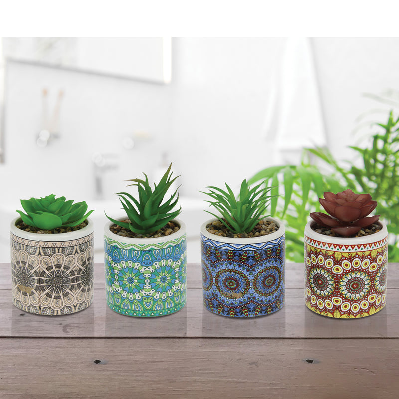 Set of 2 Life-Like Succulents