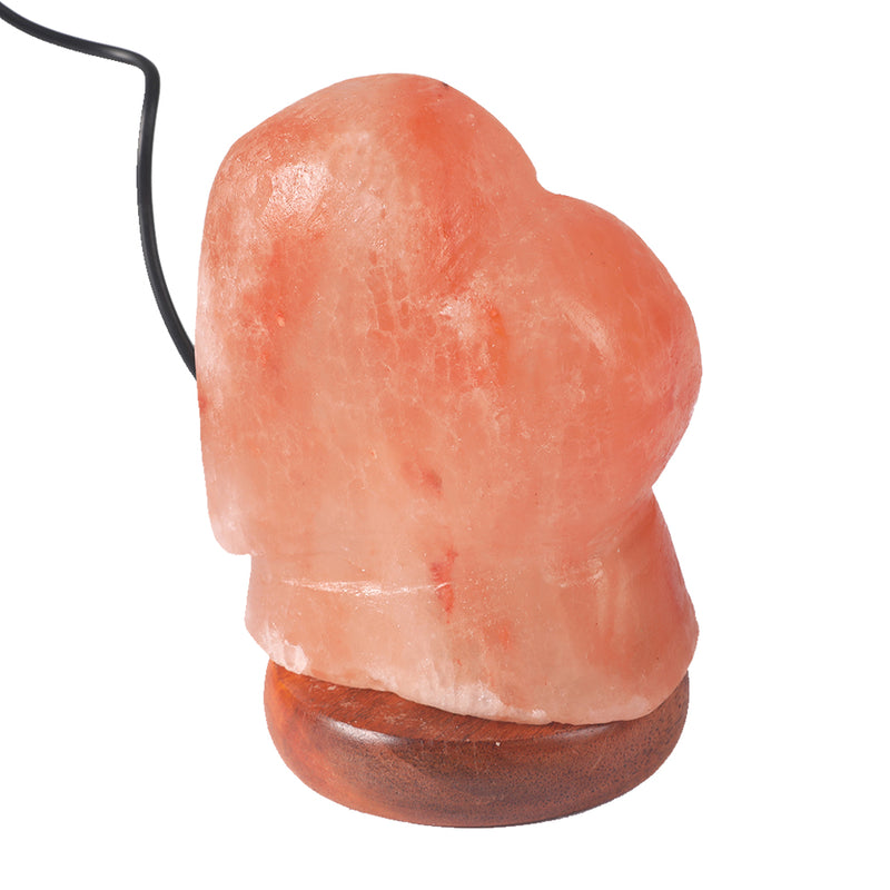 Salt Lamp Globe USB Himalayan Natural Crystal Rock Cord Night Light Lamps Globes