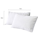 DreamZ Pillow Protector Pillowcase Cases Cover Bamboo Fabric Soft Waterproof x2