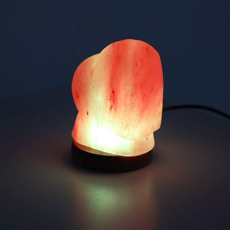 Salt Lamp Globe USB Himalayan Natural Crystal Rock Cord Night Light Lamps Globes