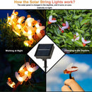Solar Bee String Lights
