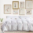 DreamZ 500GSM All Season Goose Down Feather Filling Duvet in Queen Size