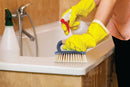Household Utility Scrubbing Brush