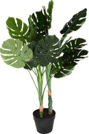 POTTED 75CM MONSTERA PLANT