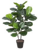 POTTED 80CM FIDDLE LEAF TREE