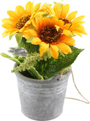 SUCCULENT ARRANGEMENT  IN CEMENT POT 19 X 18 X 9CM