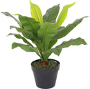 FERN LEAVES IN PLASTIC POT 50CM