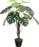 MONSTERA PLANT IN PLASTIC POT 70CM