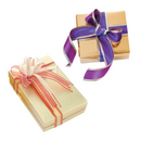 SET OF 2 TOULON SURPRISE DESIGNER BROOCHES