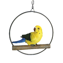 SHERWOOD ENCHANTING VISITOR