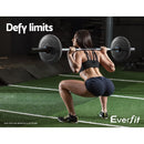 Everfit 2X 10KG Barbell Weight Plates Standard Home Gym Press Fitness Exercise Weights