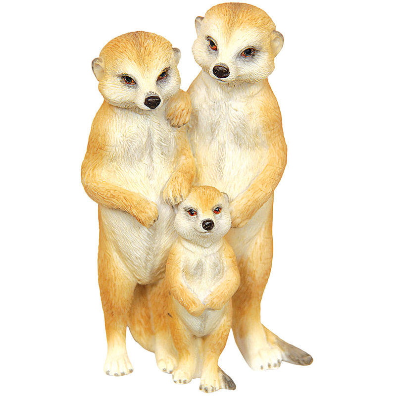 Meerkat Family