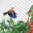 ANTI BIRD PROTECTIVE NETTING