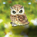 ‘Wisdom’ Owl Collectable