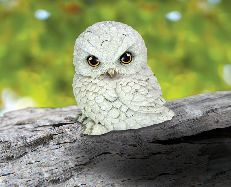 ‘Wisdom’ Owl Collectable
