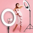 Embellir 19" LED Ring Light 6500K 5800LM Dimmable Diva Stand MakeUp Studio Video Black