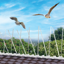 10X 50CM LENGTHS BIRD DETERRENTS