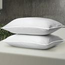 SET OF 2 GOOSE FEATHER PILLOWS