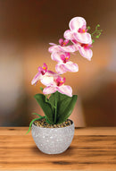 Set of 6 Life-Like Potted Flowers