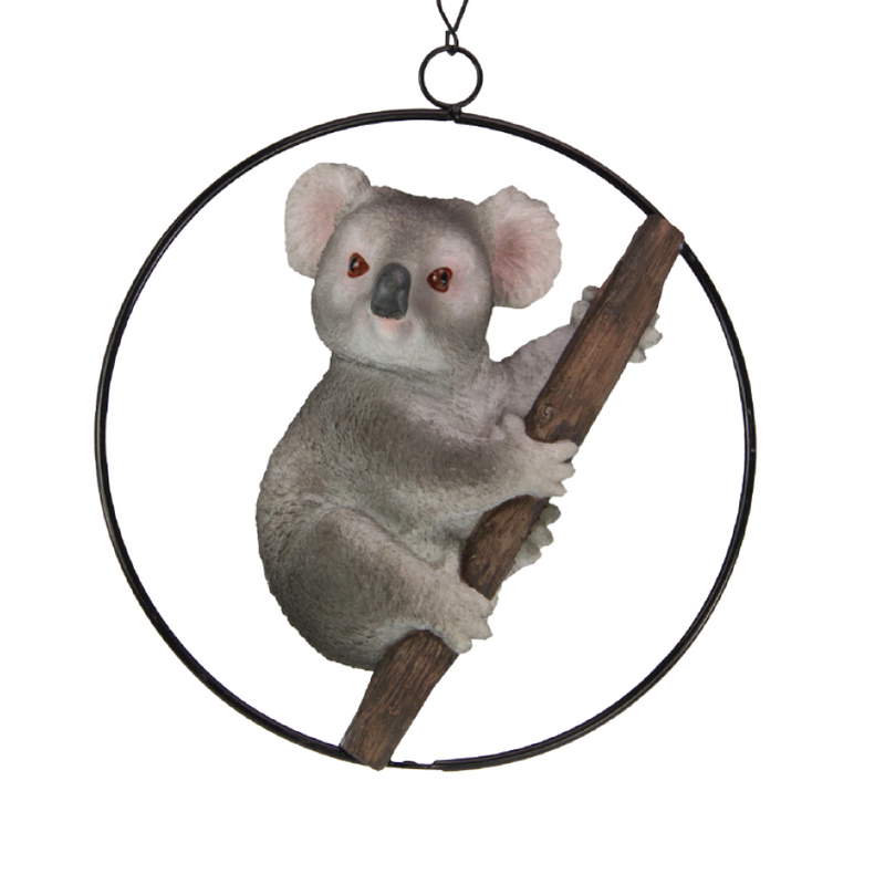 MAX KOALA IN HANGING RING