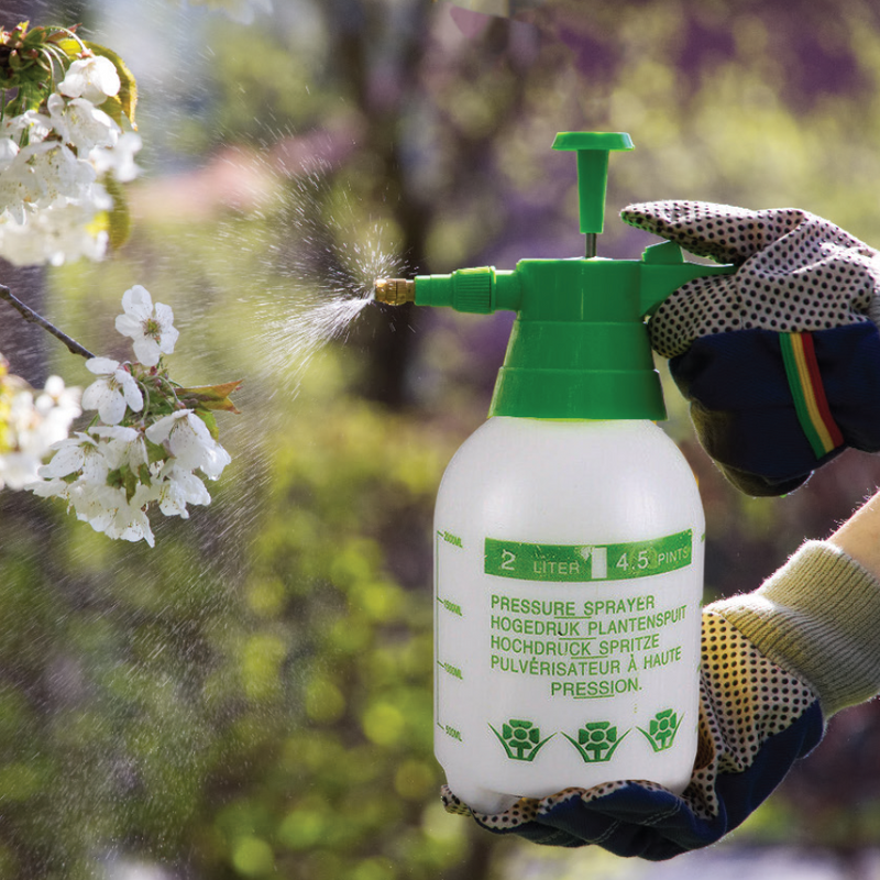 GARDEN PRESSURE PUMP SPRAYER