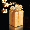 GENTS LUXURY SURPRISE GIFT