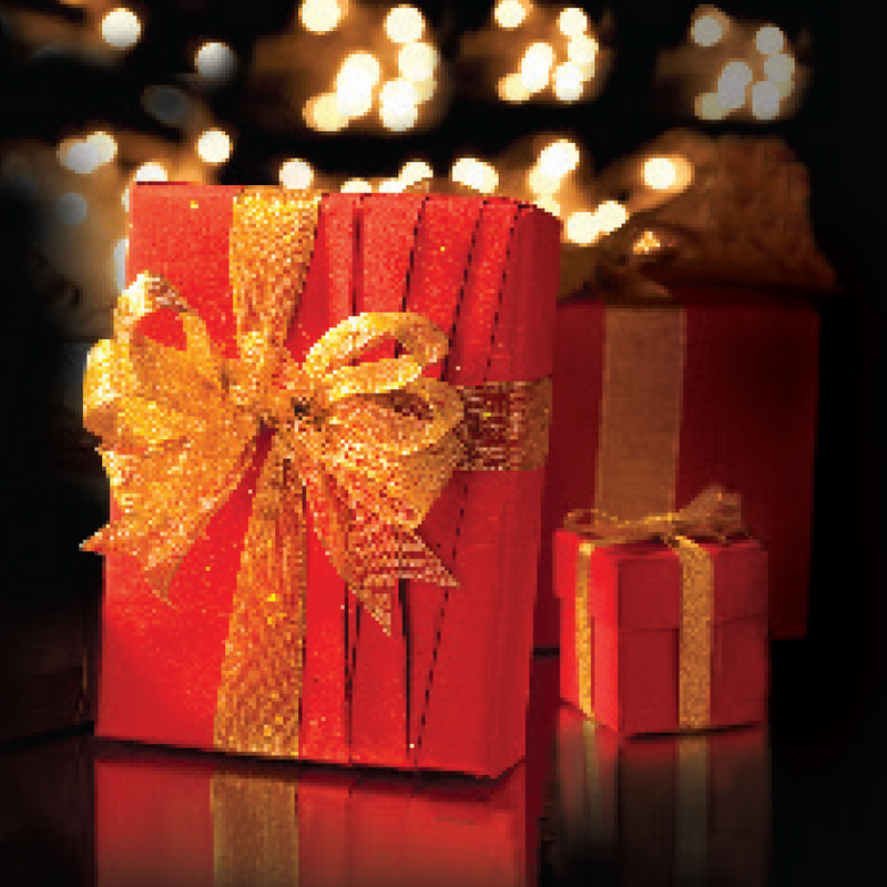 LADIES LUXURY SURPRISE GIFT