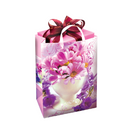 LADIES DIRECTORS CHOICE MID SUMMER LUXURY SURPRISE GIFT