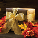 LADIES DELUXE AUTUMN SURPRISE GIFT