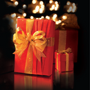 LADIES LUXURY SURPRISE GIFT