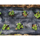 100 Metre Roll Of Weed Control Matting