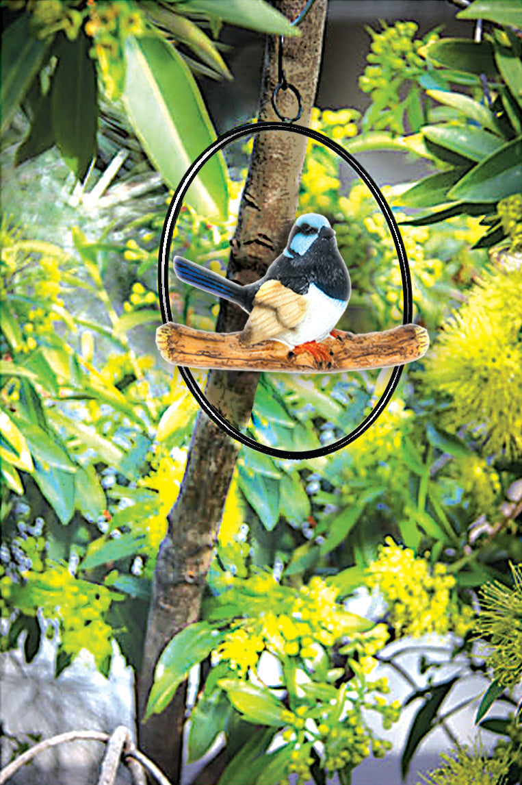 Life-Like Fairy Wren Hanging Display