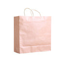 50x Brown Paper Bag Kraft Eco Recyclable Gift Carry Shopping Retail Bags Handles