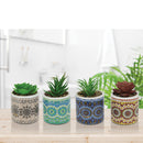 Mandala Life-Like Succulent