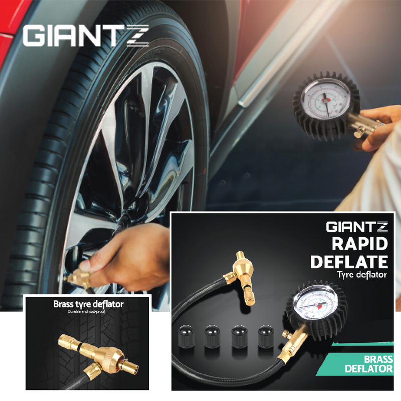 2 IN 1 TYRE GAUGE AND DEFLATOR