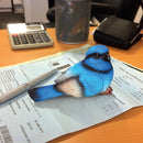 FAIRY WREN PAPERWEIGHT