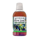 OLIVE LEAF MOUTHWASH