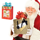 LADIES SECRET SANTA GIFT